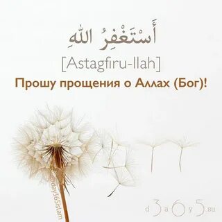 Прости на арабском