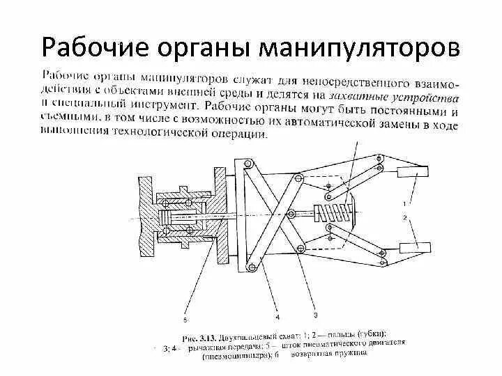 Рабочий орган манипулятора. Рабочий орган робота манипулятора. Строение механического манипулятора. Схват манипулятора чертеж. Назовите рабочий орган