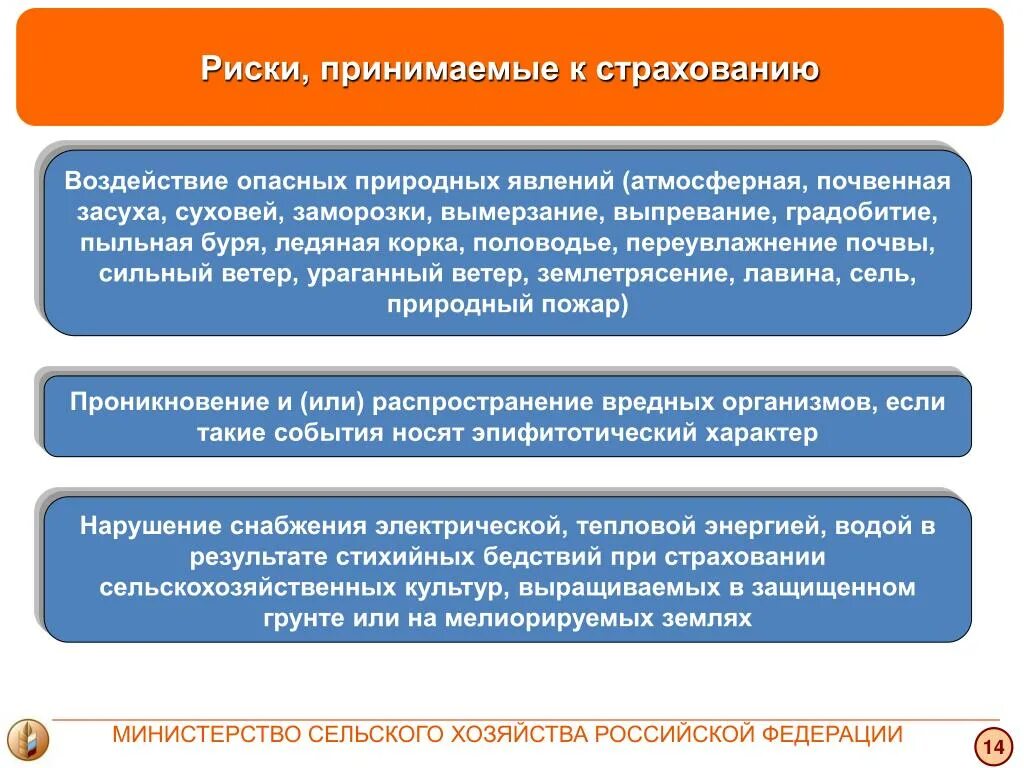 Информация о принятых рисках