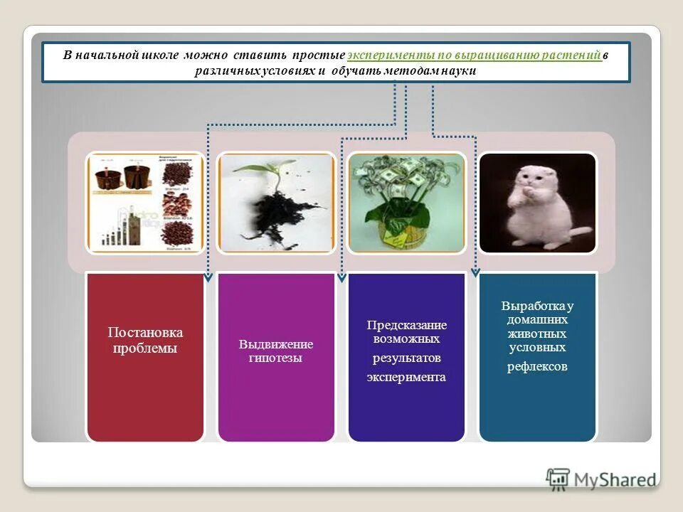 Методы биологического эксперимента