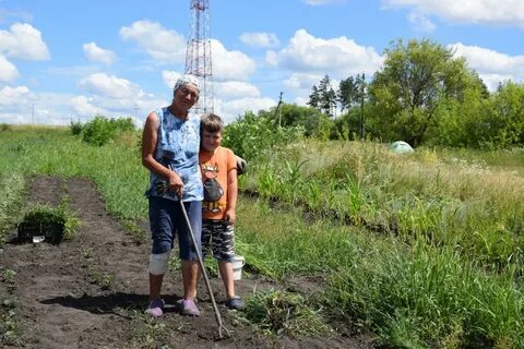 Погода хлевное конь колодезь метеостанция