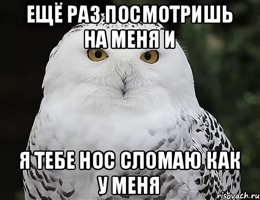 Еще раз в свет 81. Еще раз. Ещё. Еще раз тебя увижу нос сломаю. Еще раз позвонишь.