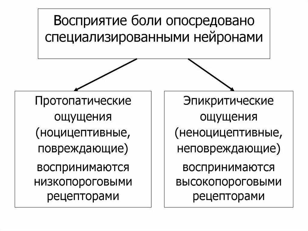 Методы зрительного восприятия. Перцептивный процесс. Восприятие формы. Восприятие формы. Восприятие явлений действительности.