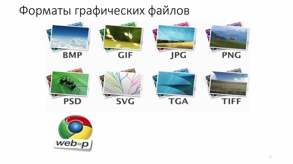 Основные виды графических данных. Форматы графических файлов. Форматы графических фафайлоа. Форматы растровых графических файлов. Форма графичесих файлов.