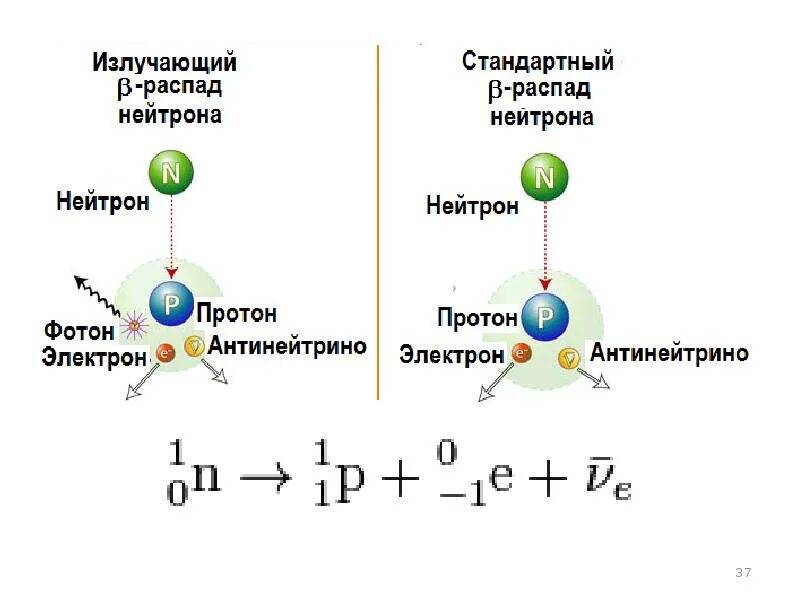 Различие между протоном и нейтроном. Схема распада нейтрона. Формула распада нейтрона. Нейтронный бета распад. Схема распада свободного нейтрона.