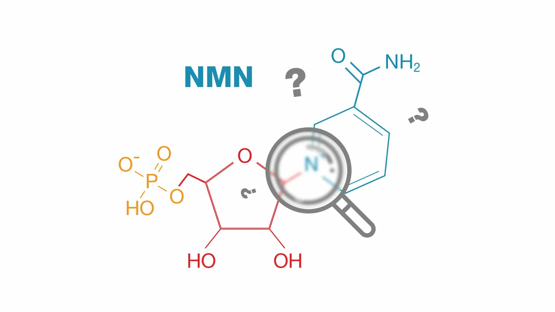 Nmn. Nicotinamide mononucleotide. NMN никотинамид мононуклеотид. NMN Япония.