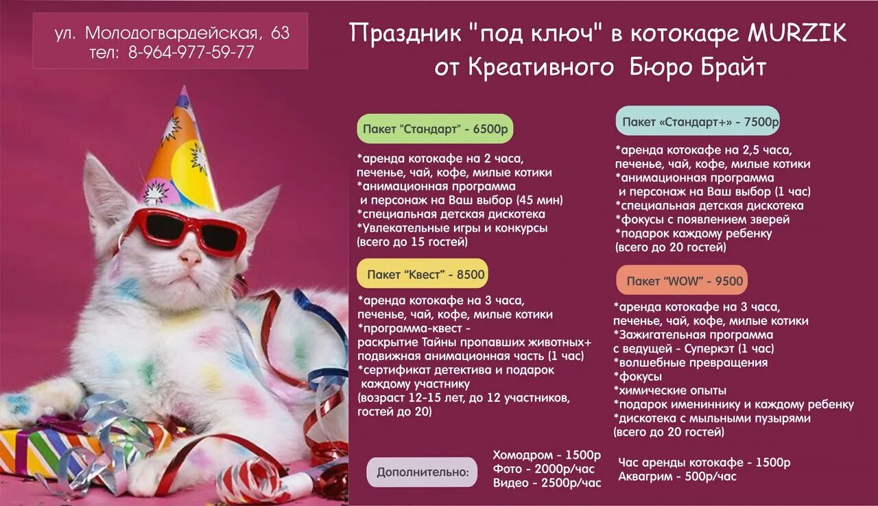 Как найти ключ от котокафе. Котокафе мурзик. праздник под ключ. котокафе бизнес план. бизнес план котокафе с расчетами.