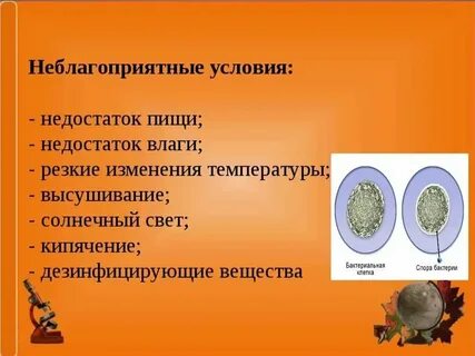 Какие приспособления к переживанию неблагоприятных условий