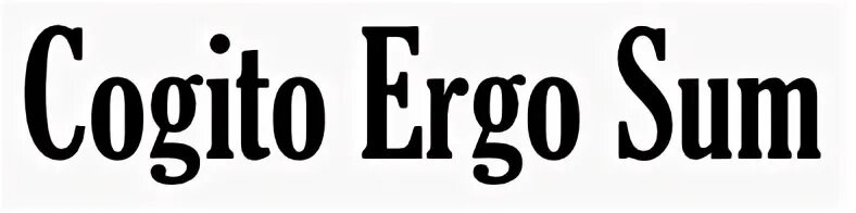 Эрго сум. Когито-центр. Ergo sum. Cogito магазин. Cogito Ergo sum значок.