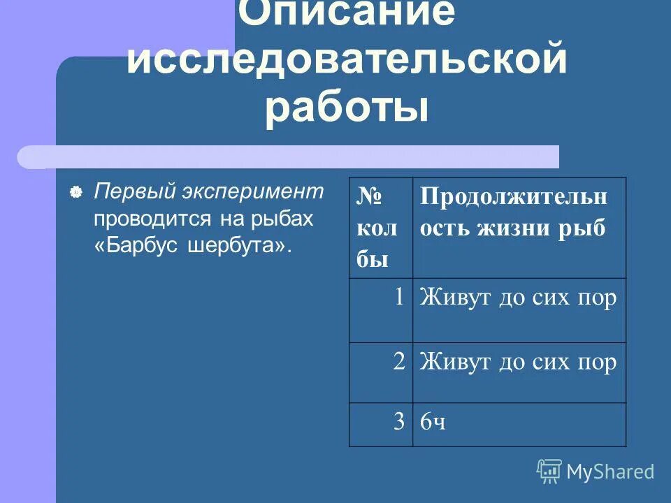 описание исследовательской работы