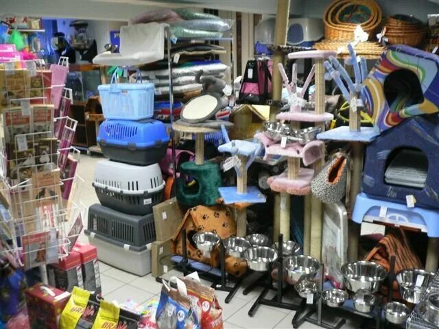 зоомагазин барнаул каталог. джунгли зоомагазин барнаул каталог товаров. барнаульский зоомагазин. товары для животных барнаул. зоомагазин барнаул каталог.