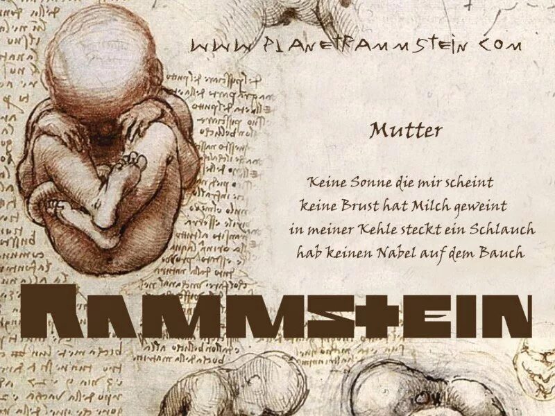 Mutter hat. Обложка альбома рамштайн муттер. mutter обложка альбома. рамштайн mutter альбом обложка. rammstein mutter обложка.