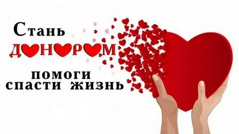Спасти жизнь отзывы