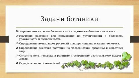 Ботаника это наука о растениях изучающая