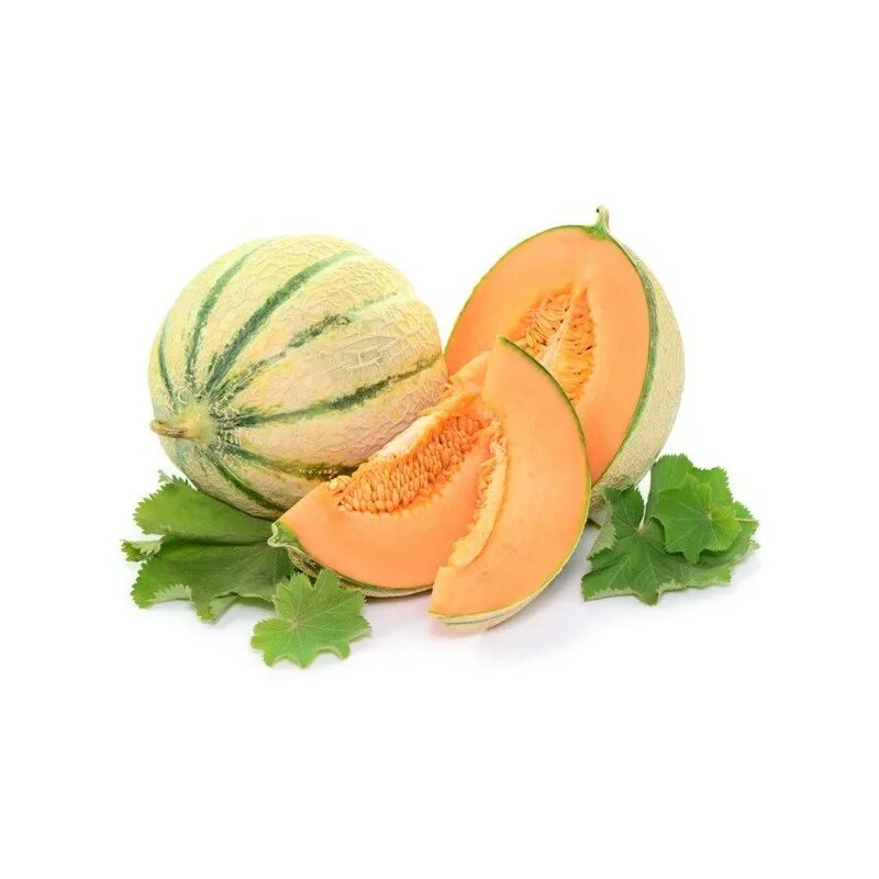 дыня цукаты. огурец дынный тайланд. сухофрукты дыня канталупа. тайская дыня. дыня канталупа зеленая.