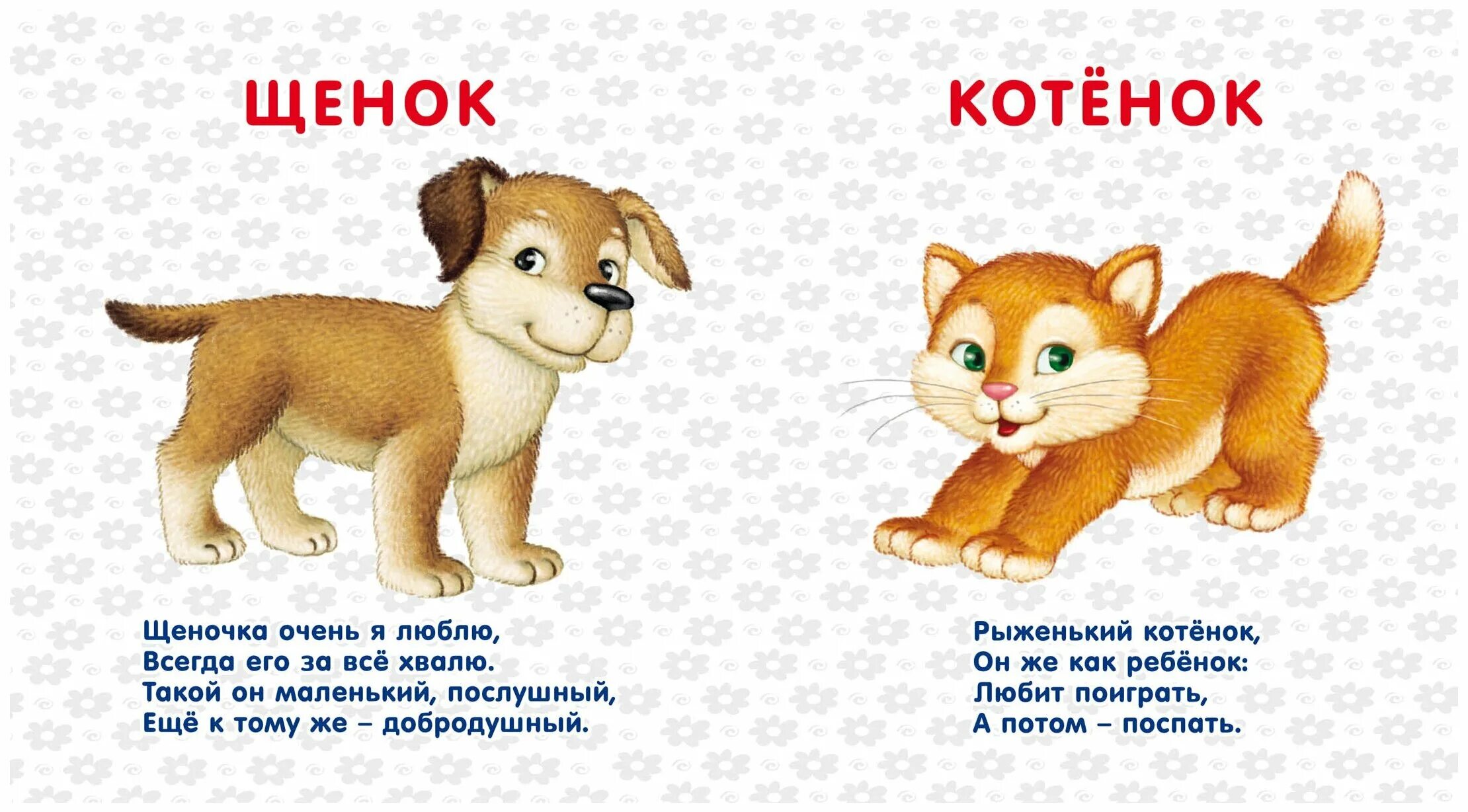 Домашние животные для детей. Лексическая тема звери наших лесов. Домашних животных для детей. Домашние животные и их детеныши. Дикие и домашние животные сравнение.