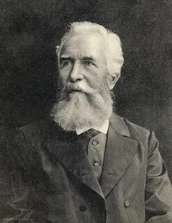 Немецкий биолог э геккель писал в 1904