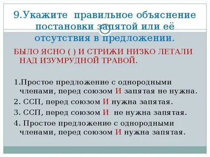 3 предложения с объяснением