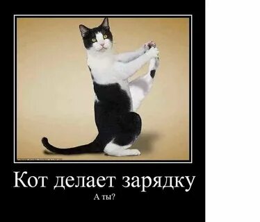 Посмеялся сам - поделись с другом!!!