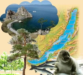 Байкал картинки для детей