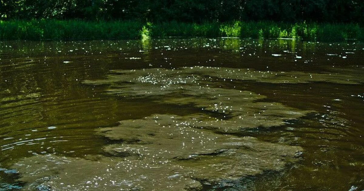 Мутная вода слушать. Болотная вода. Мутная речка. Болото грязная вода. Мутная вода в реке.