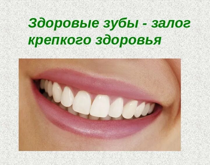 Почему зубы важны. Здоровые зубы залог здоровья. чистые зубы залог здоровья. здоровые зубы здоровый организм. здоровые зубы залог здоровья для детей.