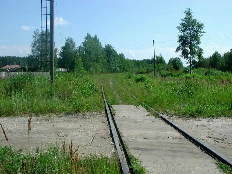 Рошаль мишеронский. Черусти Рошаль. Станция Рошаль. Поселок Черусти. Поселок Черусти кладбище.