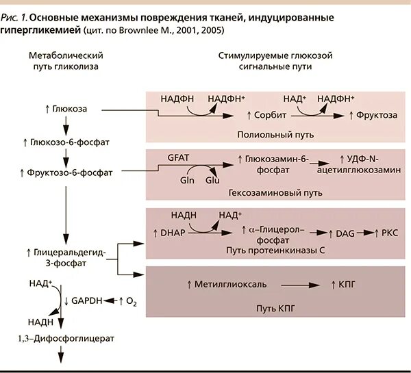 Другой альтернативой обычной фармакотерапии