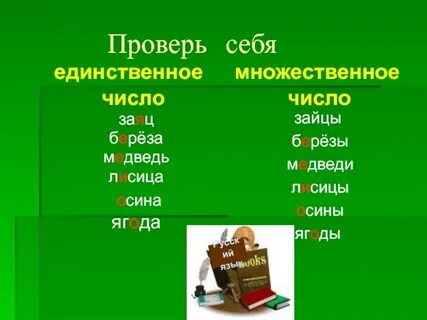 Грач множественное число