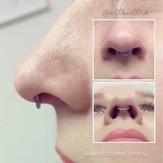 Септум где