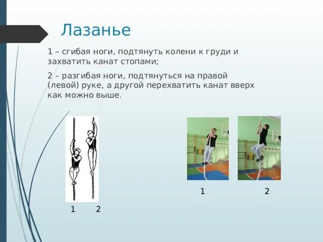 Какие качества развивает лазание по канату. Какие качества развивает лазание по канату