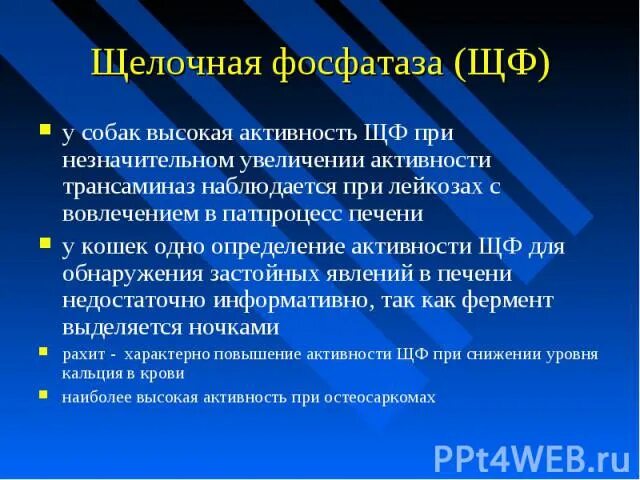 Щелочная фосфатаза у щенков. Щелочная фосфатаза у собак. Щелочная фосфотаща у собак. Щелочная фосфатаза у собак повышение.