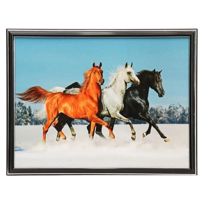 Картина лошади. Картина 3 коня. Живопись три коня. Картина по номерам три лошади.