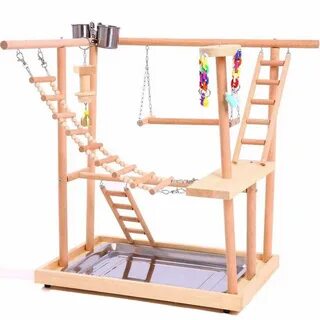 Игровые площадки для кореллы