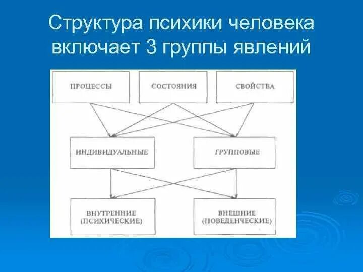 Психика человека структура функции. Психика человека структура функции