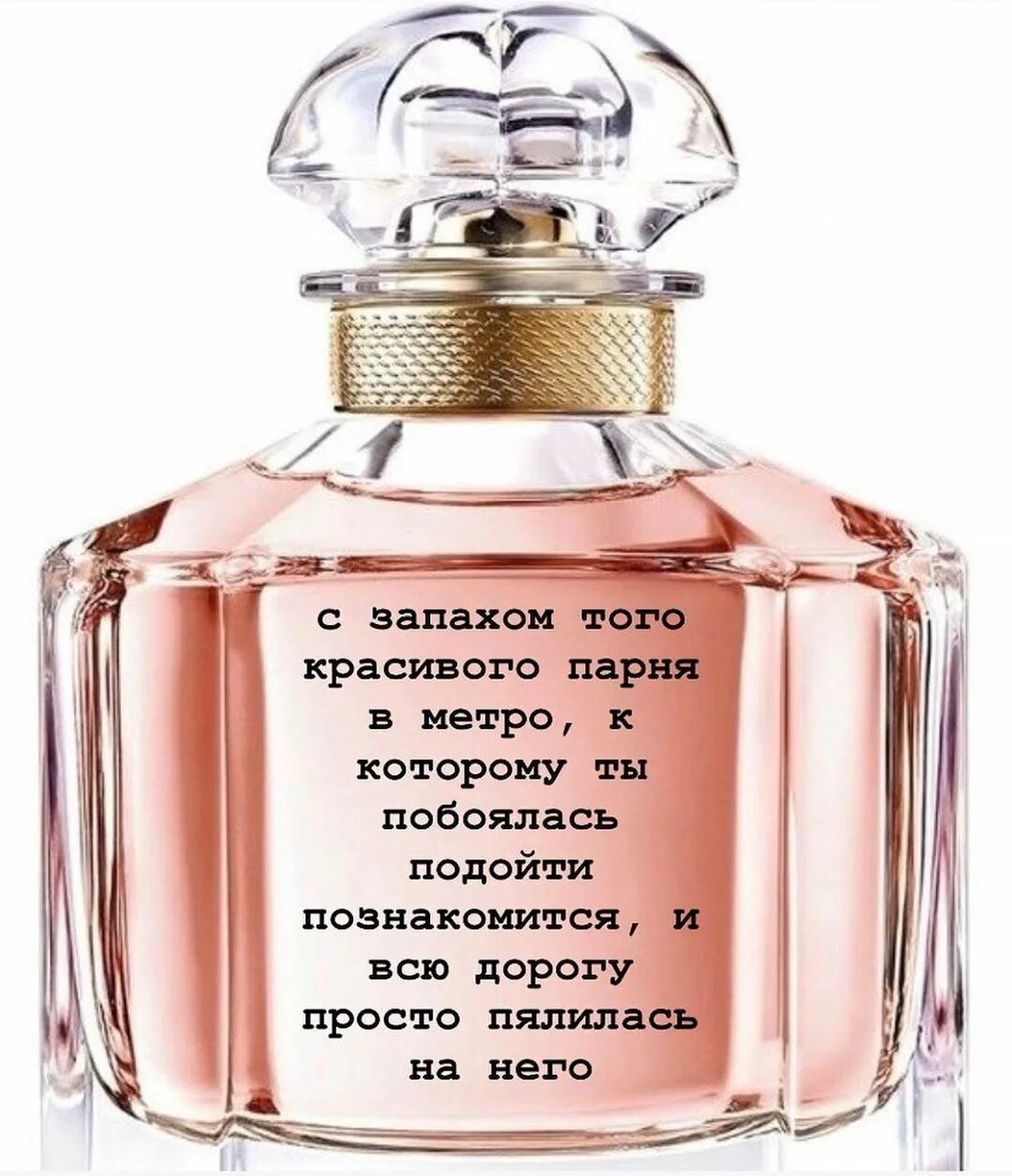 С ароматом взаимных чувств. Мемы о духах. Духи с запахом мемы. Аромат духов мем. Мемы про духи.