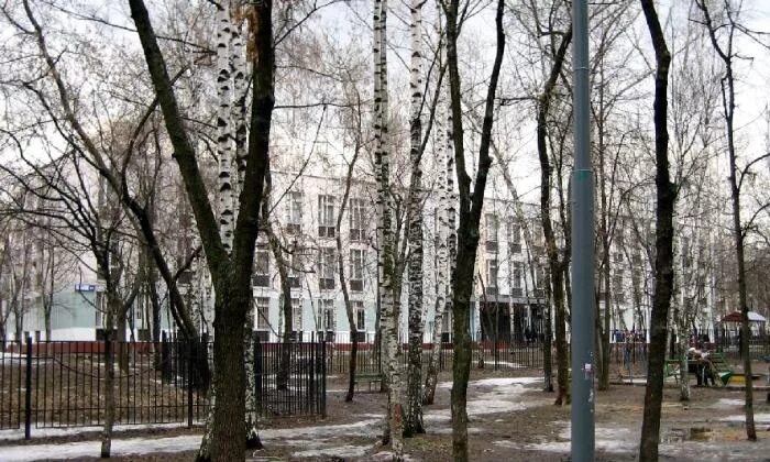 319 школа петергоф. Школа 319 гольяново. Школа 319 амурская 6. Школа 319 щелковское шоссе. Школа 319 гольяново.