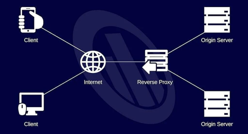 Reverse proxy fails