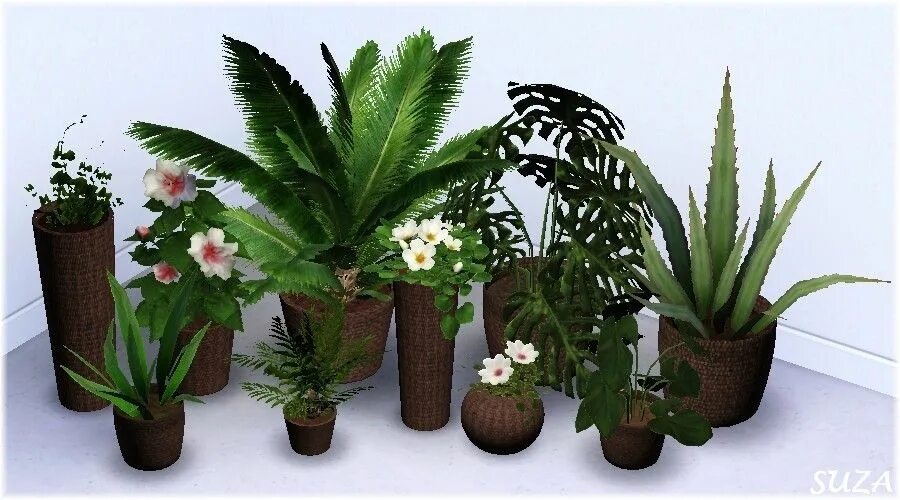 Simply plants. Симс 3 растения. Фото цветов для сетей. Mio - simply styling re-Potted Garden 7 Plant 6.