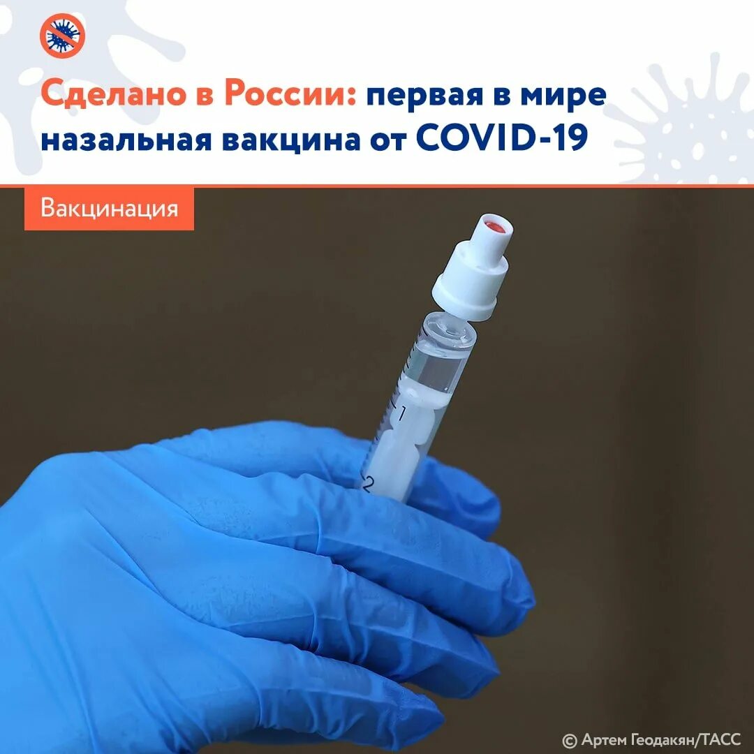 Первой разработала вакцину от covid 19. Назальная вакцина Спутник v. Гам ковид ВАК назальная вакцина. Назальная вакцина от коронавируса. Ноадьная вакцина от коронавируса.