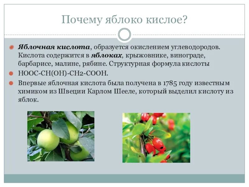 Почему яблоко кислое