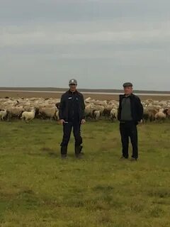 Погода в кочубее на сегодня