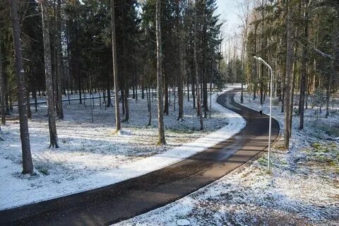 Московская область г пересвет ул пионерская 9