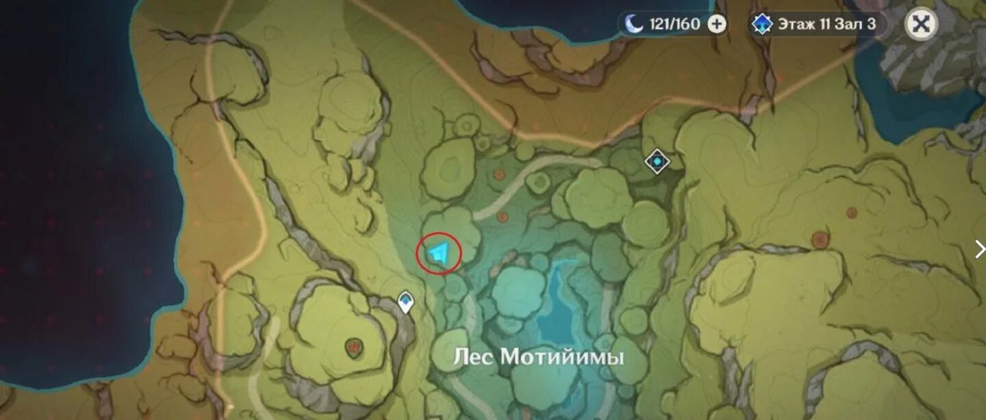Genshin Impact карта. Лес мотийимы Геншин. Лес мотийимы пещера. Места рыбалки Сумеру.
