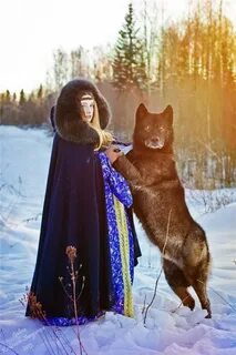Русский вольф