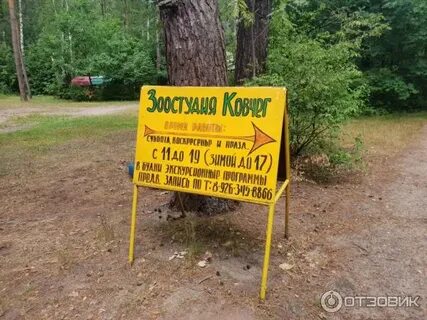 Ковчег кашира