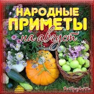 Домашний 1 августа