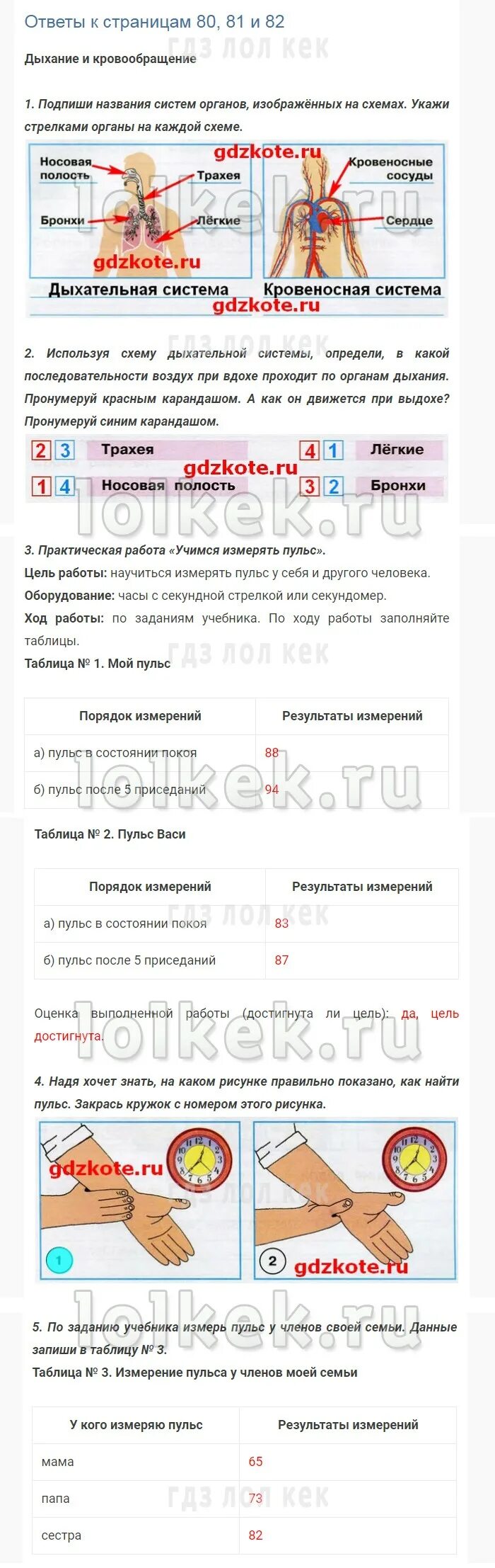Учимся измерять пульс 3 класс окружающий мир. Практическая работа учимся измерять пульс. практическая работа учимся измерять пульс 3 класс. практическая работа учимся измерять пульс окружающий мир. практическая работа учимся измерять пульс цель работы.