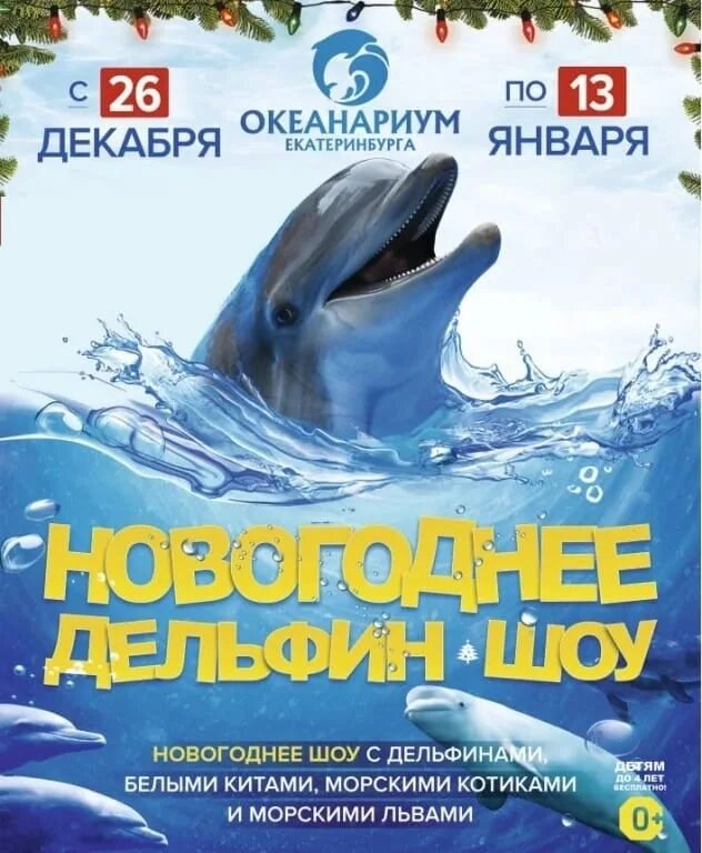 Билет в дельфинарий. Билеты в океанариум Екатеринбург. Билет в океанариум. Дельфинарий Екатеринбург.