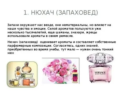 Сила запаха